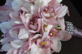 Flowers by Bibi